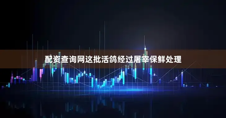 配资查询网这批活鸽经过屠宰保鲜处理