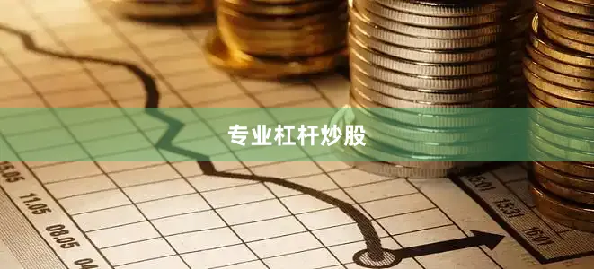 专业杠杆炒股