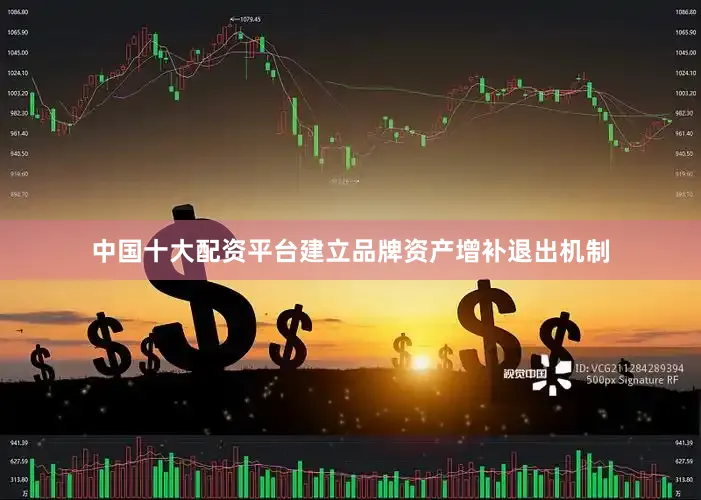 中国十大配资平台建立品牌资产增补退出机制