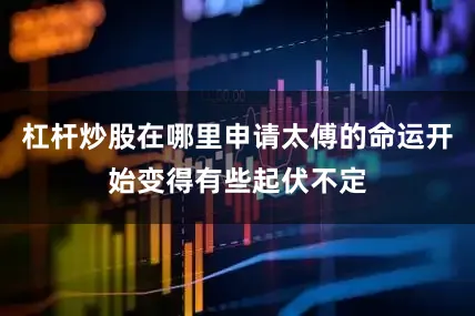 杠杆炒股在哪里申请太傅的命运开始变得有些起伏不定