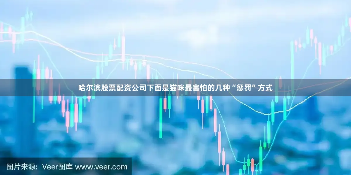哈尔滨股票配资公司下面是猫咪最害怕的几种“惩罚”方式