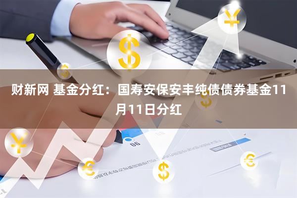 财新网 基金分红：国寿安保安丰纯债债券基金11月11日分红