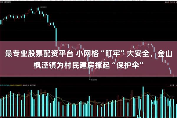 最专业股票配资平台 小网格“盯牢”大安全，金山枫泾镇为村民建房撑起“保护伞”